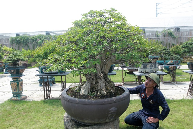 Mãn nhãn với bộ sưu tập mai chiếu thủy đột biến vô cùng độc đáo ở Hà Nội - 10 Mãn nhãn với bộ sưu tập mai chiếu thủy đột biến vô cùng độc đáo ở Hà Nội - 10