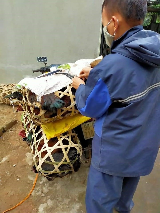 Mất việc vì Covid-19: Đầu bếp du thuyền hạng sang đi bán gà dạo - 2