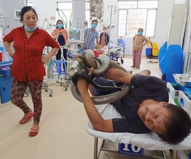 Kỳ tích cứu sống bệnh nhân ôm rắn hổ chúa đi cấp cứu - 1 Kỳ tích cứu sống bệnh nhân ôm rắn hổ chúa đi cấp cứu - 1