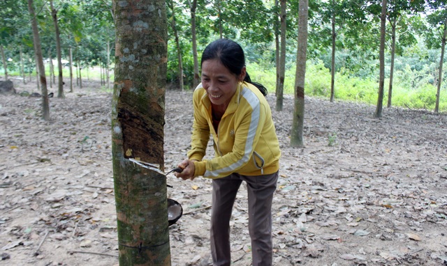 Trong 4 năm, hơn 20.000 hộ dân ở Phú Yên thoát nghèo - 2 Trong 4 năm, hơn 20.000 hộ dân ở Phú Yên thoát nghèo - 2