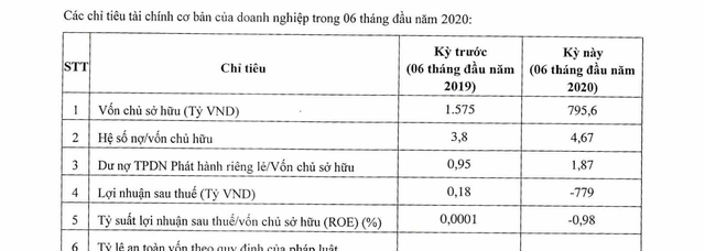 Hé lộ những khoản lỗ khủng của đại gia bất động sản - 2