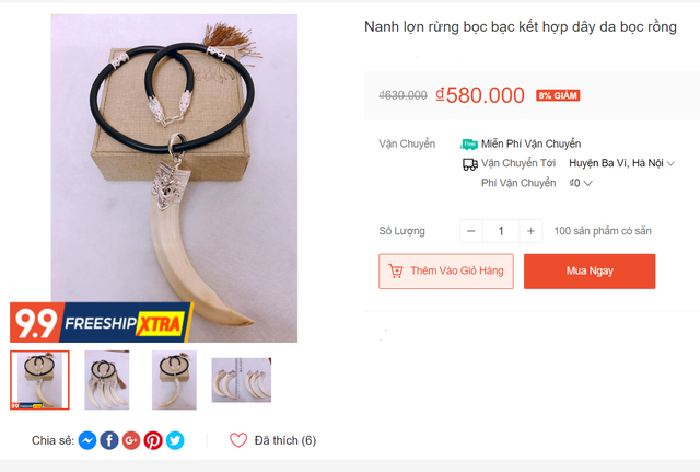 Nuôi lợn rừng lấy nanh: Phục vụ thú chơi mới kỳ công của đại gia Việt - 4