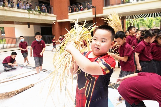 Trường tiểu học Trung Quốc dạy học sinh cách thu hoạch lúa - 1 Trường tiểu học Trung Quốc dạy học sinh cách thu hoạch lúa - 1