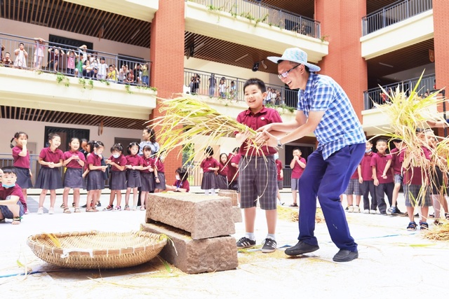 Trường tiểu học Trung Quốc dạy học sinh cách thu hoạch lúa - 2 Trường tiểu học Trung Quốc dạy học sinh cách thu hoạch lúa - 2