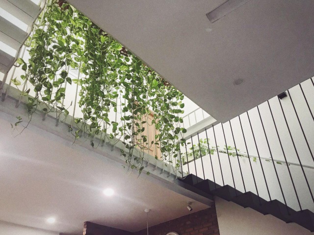 Chi ra 400 triệu đồng, cặp vợ chồng trẻ ở Đà Nẵng cải tạo nhà nát đẹp mê ly - 9 Chi ra 400 triệu đồng, cặp vợ chồng trẻ ở Đà Nẵng cải tạo nhà nát đẹp mê ly - 9