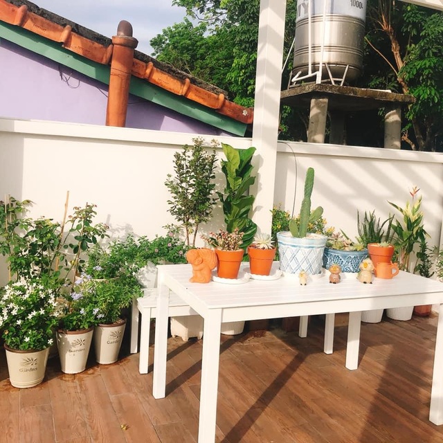 Biệt thự nhà vườn ngập tràn các loại hoa của gia đình ở Bình Dương - 6 Biệt thự nhà vườn ngập tràn các loại hoa của gia đình ở Bình Dương - 6