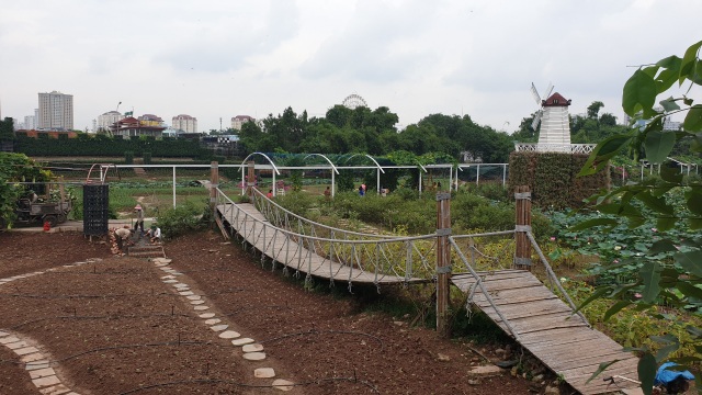 Hà Nội: Thung lũng hoa Hồ Tây “mọc” trái phép trên đất dự án - 3 Hà Nội: Thung lũng hoa Hồ Tây “mọc” trái phép trên đất dự án - 3