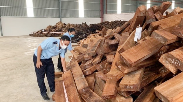 Phát hiện lô gỗ quý “khủng” nhập lậu từ Nigeria vào Việt Nam - 1