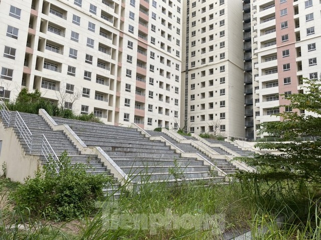 Xót xa chục ngàn căn hộ tái định cư bỏ không lãng phí ở Sài Gòn - 3