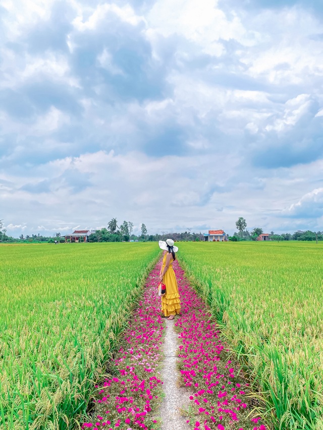 Hướng dẫn tới đường hoa mười giờ đẹp nhất Gò Công - 7 Hướng dẫn tới đường hoa mười giờ đẹp nhất Gò Công - 7
