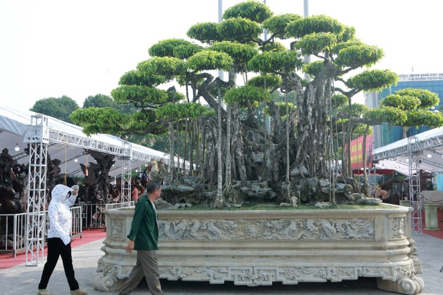 Ngắm dàn “siêu cây” hàng triệu USD của đại gia xứ Thanh - 1 Ngắm dàn “siêu cây” hàng triệu USD của đại gia xứ Thanh - 1