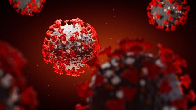 Phát hiện kháng thể có thể “vô hiệu hóa hoàn toàn” virus SARS-CoV-2 - 1 Phát hiện kháng thể có thể “vô hiệu hóa hoàn toàn” virus SARS-CoV-2 - 1