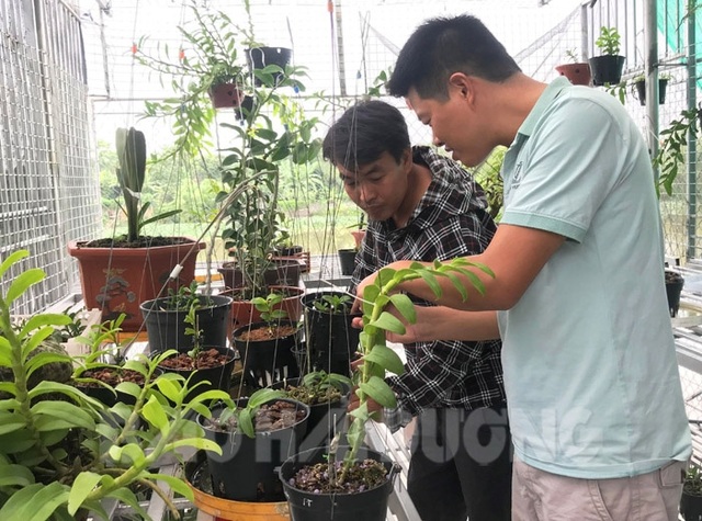 Nhận trái đắng vì muốn giàu nhanh từ những giao dịch lan đột biến - 1 Nhận trái đắng vì muốn giàu nhanh từ những giao dịch lan đột biến - 1