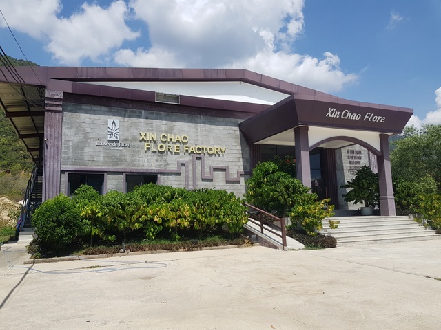 Khánh Hòa quyết tháo dỡ 7 showroom sai phạm chuyên đón khách Trung Quốc - 1 Khánh Hòa quyết tháo dỡ 7 showroom sai phạm chuyên đón khách Trung Quốc - 1