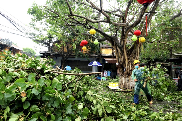 Phố cổ Hội An bảo vệ di tích trước khi bão đổ bộ - 12 Phố cổ Hội An bảo vệ di tích trước khi bão đổ bộ - 12