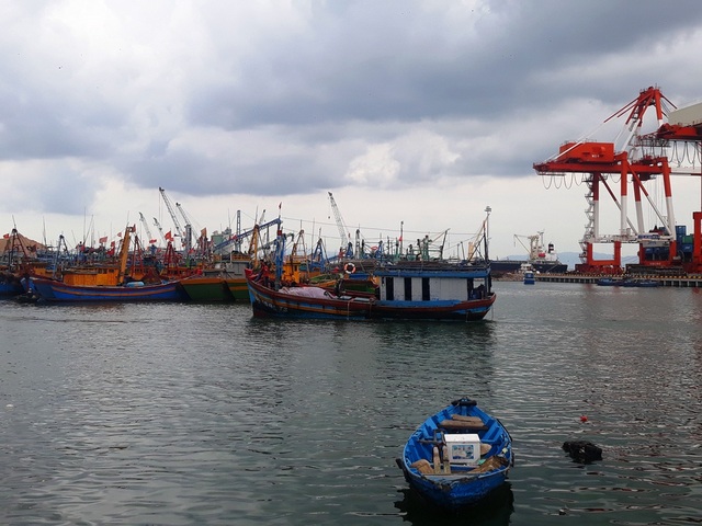 Nhiều tỉnh miền Trung “cấm biển”, cho học sinh nghỉ học tránh bão - 8 Nhiều tỉnh miền Trung “cấm biển”, cho học sinh nghỉ học tránh bão - 8