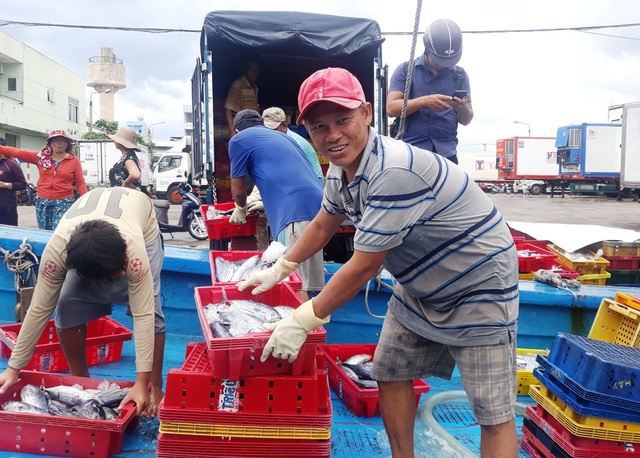 Nhiều tỉnh miền Trung “cấm biển”, cho học sinh nghỉ học tránh bão - 10 Nhiều tỉnh miền Trung “cấm biển”, cho học sinh nghỉ học tránh bão - 10