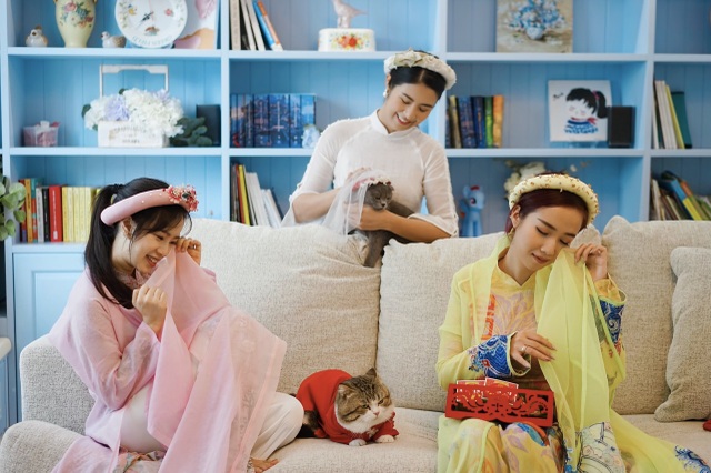 Hoa hậu Ngọc Hân làm “đám cưới thế kỷ” cho... mèo - 11 Hoa hậu Ngọc Hân làm “đám cưới thế kỷ” cho... mèo - 11