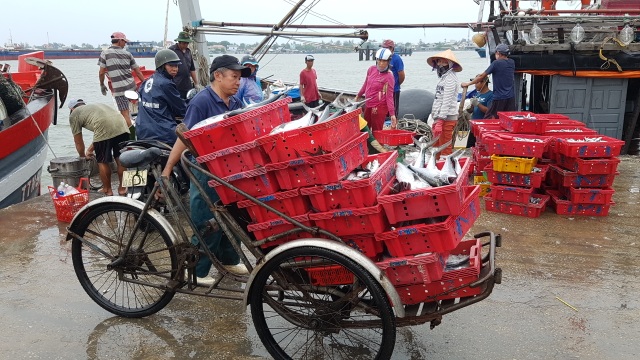 Phó Thủ tướng thị sát, kiểm tra công tác phòng chống ở vùng tâm bão - 7 Phó Thủ tướng thị sát, kiểm tra công tác phòng chống ở vùng tâm bão - 7