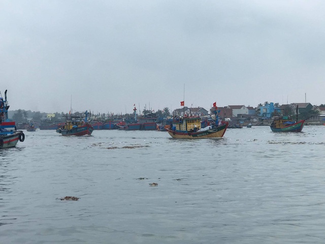 Nhiều tỉnh miền Trung “cấm biển”, cho học sinh nghỉ học tránh bão - 7 Nhiều tỉnh miền Trung “cấm biển”, cho học sinh nghỉ học tránh bão - 7
