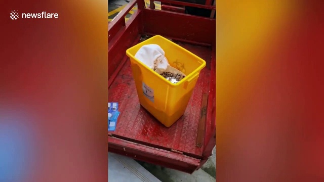 Thẩm mỹ viện Trung Quốc trả tiền nợ lương nhân viên bằng hai xô tiền xu - 1 Thẩm mỹ viện Trung Quốc trả tiền nợ lương nhân viên bằng hai xô tiền xu - 1