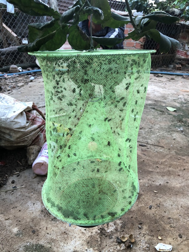 Kỹ sư 9x chế máy sản xuất bẫy ruồi, tạo việc làm cho nhiều người - 12 Kỹ sư 9x chế máy sản xuất bẫy ruồi, tạo việc làm cho nhiều người - 12