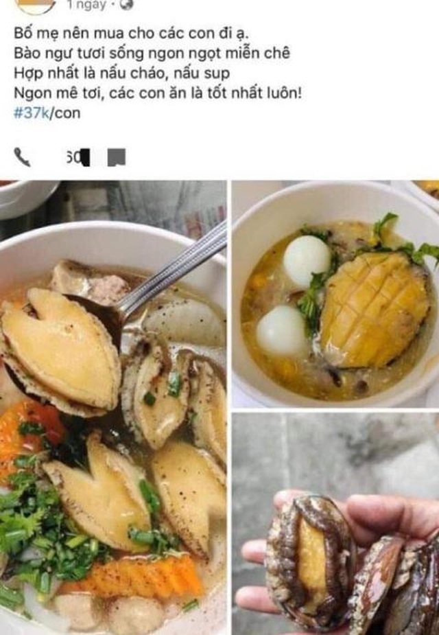 Bào ngư đại gia giá bình dân: Nhập từ Trung Quốc - 1 Bào ngư đại gia giá bình dân: Nhập từ Trung Quốc - 1