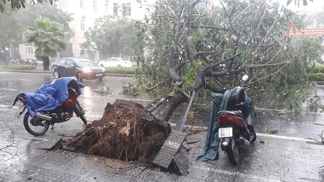 Toàn tỉnh Thừa Thiên Huế đang bị cúp điện - 6 Toàn tỉnh Thừa Thiên Huế đang bị cúp điện - 6
