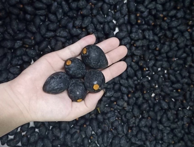 Món ăn “nhà nghèo” một thời nay thành đặc sản được nhà giàu săn lùng - 2 Món ăn “nhà nghèo” một thời nay thành đặc sản được nhà giàu săn lùng - 2