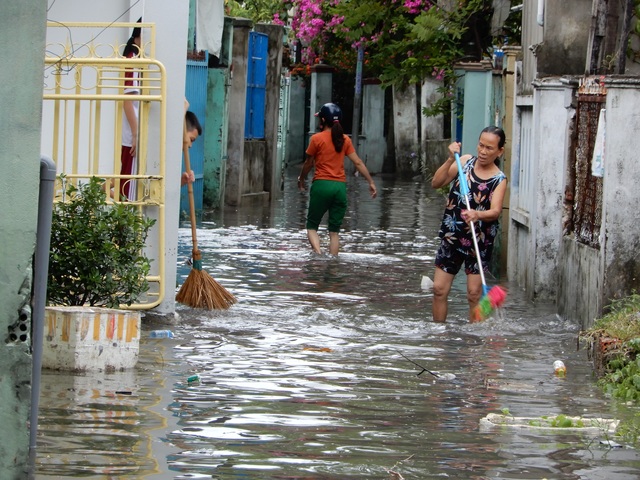 Đà Nẵng: Nhiều cây xanh bật gốc, người dân ra biển bắt cá sau bão - 15