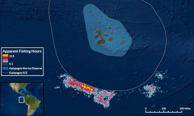 Đội tàu Trung Quốc “tận diệt” hàng nghìn tấn hải sản ngoài khơi Ecuador - 2
