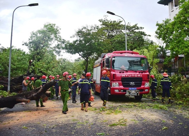 Thua Thien Hue strove to overcome the damage caused by Typhoon No. 5-13