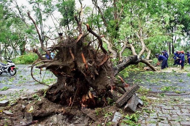 Thua Thien Hue strove to overcome the damage caused by Typhoon No. 5-12