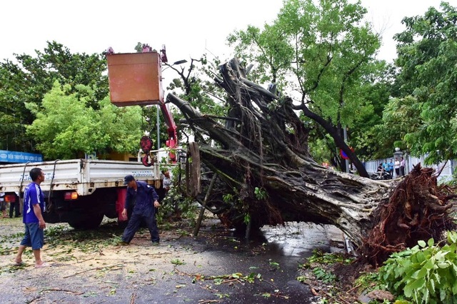 Thua Thien Hue struggled to overcome the damage caused by Typhoon No. 5-1