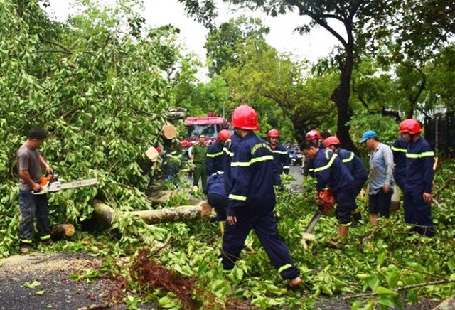 Thua Thien Hue struggled to overcome the damage caused by Typhoon No. 5-14