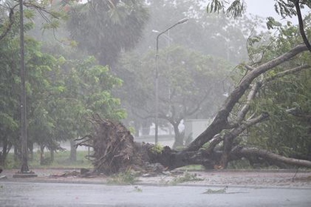 Three people died, 112 were injured due to storm No. 5-1