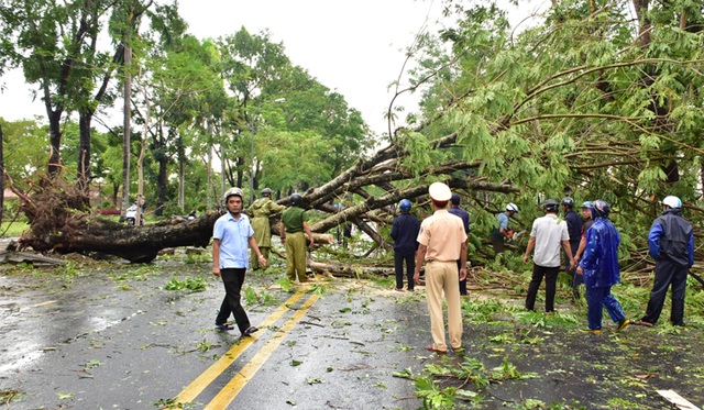 Thua Thien Hue struggled to overcome the damage caused by Typhoon No. 5-11