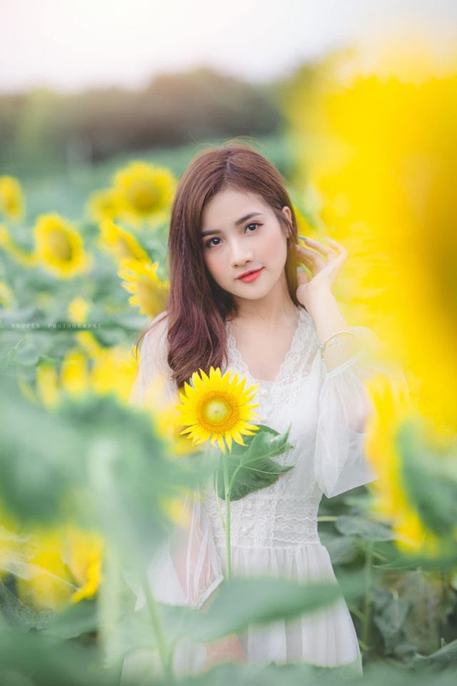 “Thiên thần đồng phục” khoe sắc bên hoa hướng dương - 7 “Thiên thần đồng phục” khoe sắc bên hoa hướng dương - 7