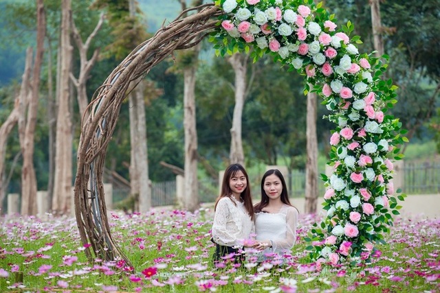 Thung lũng hoa Phủ Quỳ, điểm check in tuyệt đẹp giữa núi đồi xứ Nghệ - 13 Thung lũng hoa Phủ Quỳ, điểm check in tuyệt đẹp giữa núi đồi xứ Nghệ - 13