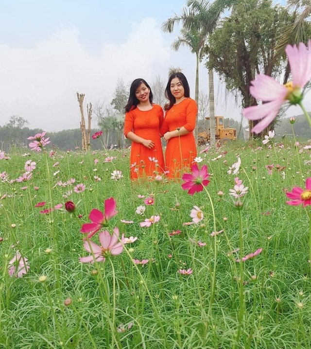 Thung lũng hoa Phủ Quỳ, điểm check in tuyệt đẹp giữa núi đồi xứ Nghệ - 15 Thung lũng hoa Phủ Quỳ, điểm check in tuyệt đẹp giữa núi đồi xứ Nghệ - 15