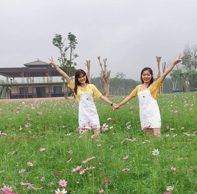 Thung lũng hoa Phủ Quỳ, điểm check in tuyệt đẹp giữa núi đồi xứ Nghệ - 18 Thung lũng hoa Phủ Quỳ, điểm check in tuyệt đẹp giữa núi đồi xứ Nghệ - 18