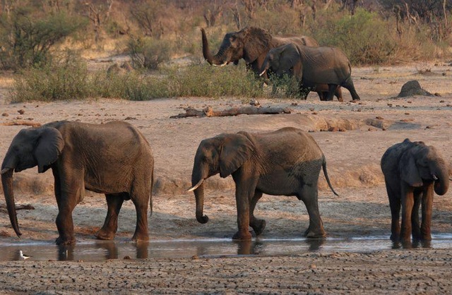 Lo hệ lụy môi trường, Zimbabwe rút giấy phép khai mỏ của công ty Trung Quốc - 1 Lo hệ lụy môi trường, Zimbabwe rút giấy phép khai mỏ của công ty Trung Quốc - 1