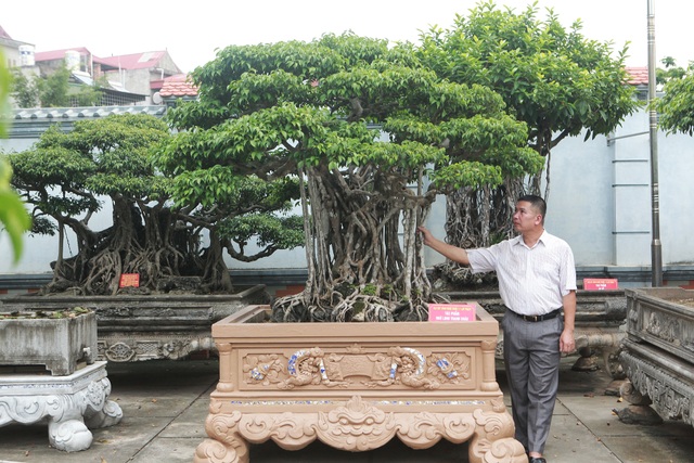 Sanh cổ “Ngũ long tranh châu” mua từ năm 1996 với giá 100 cây vàng - 1 Sanh cổ “Ngũ long tranh châu” mua từ năm 1996 với giá 100 cây vàng - 1