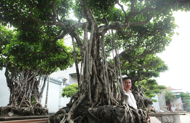 Sanh cổ “Ngũ long tranh châu” mua từ năm 1996 với giá 100 cây vàng - 4 Sanh cổ “Ngũ long tranh châu” mua từ năm 1996 với giá 100 cây vàng - 4