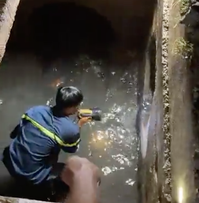 Người phụ nữ rơi xuống cống, bị cuốn mất tích trong cơn mưa lớn - 2 Người phụ nữ rơi xuống cống, bị cuốn mất tích trong cơn mưa lớn - 2