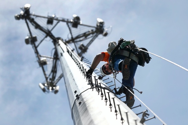 Điện thoại thông minh và Wi-Fi đang giết chết những loài côn trùng có ích - 1 Điện thoại thông minh và Wi-Fi đang giết chết những loài côn trùng có ích - 1