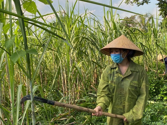 Nữ sinh nghèo dân tộc Thổ và nỗi buồn gác lại giấc mơ giảng đường đại học - 3 Nữ sinh nghèo dân tộc Thổ và nỗi buồn gác lại giấc mơ giảng đường đại học - 3