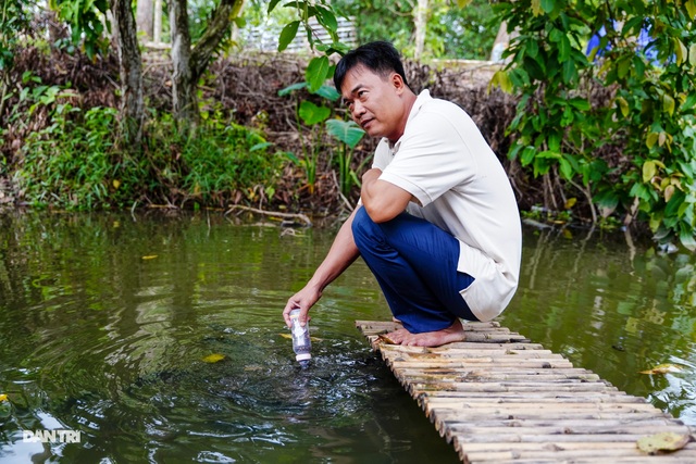 Về Cồn Sơn xem cá lóc… bú bình, ăn cơm phải… đút - 12 Về Cồn Sơn xem cá lóc… bú bình, ăn cơm phải… đút - 12