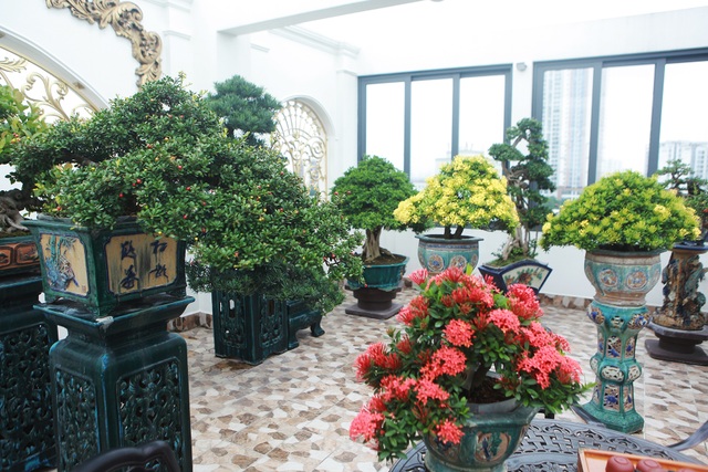 Nghệ nhân Hà Nội bật mí về bonsai kích thước nhỏ nhưng giá “khủng” - 13 Nghệ nhân Hà Nội bật mí về bonsai kích thước nhỏ nhưng giá “khủng” - 13