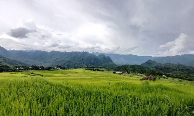Công trình trái phép “mọc” ở Pù Luông - 3 Công trình trái phép “mọc” ở Pù Luông - 3